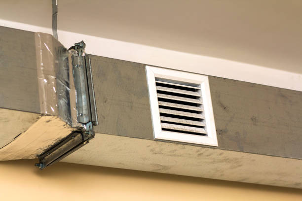 Best Air Duct Sanitizing Services  in Silver Lake, NJ